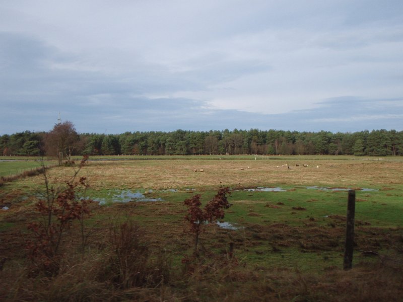 CTF Celle 129